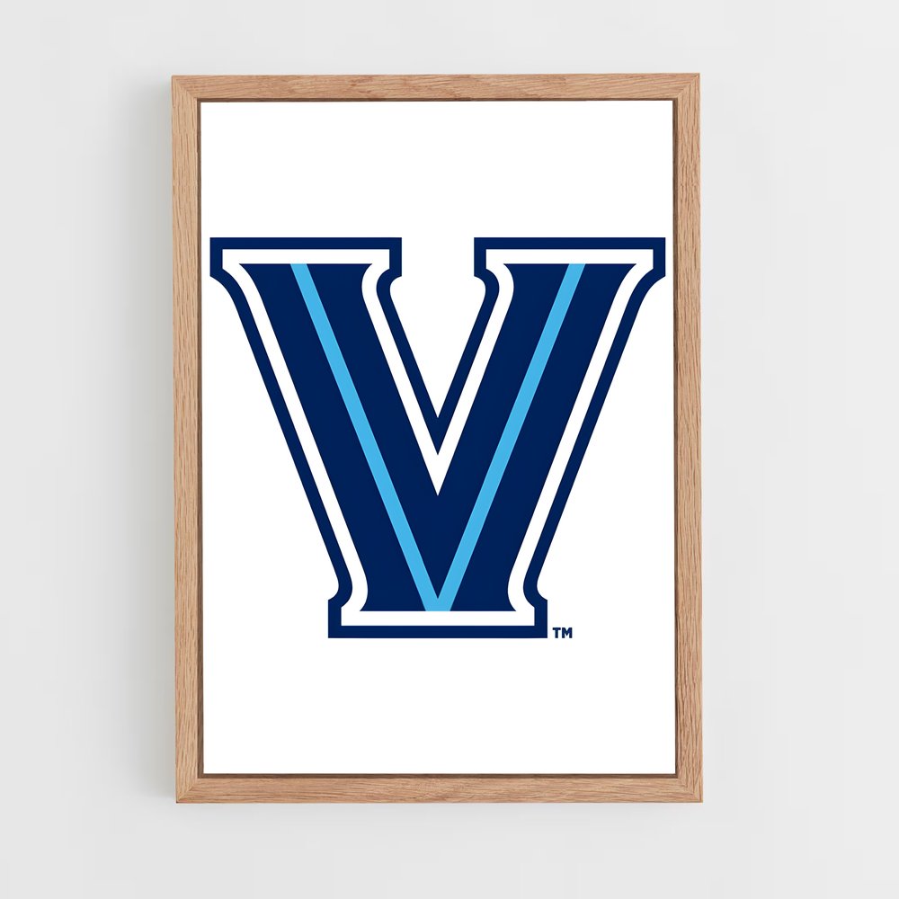 Poster Virginia Pride – affiche Basketball (vue 4)